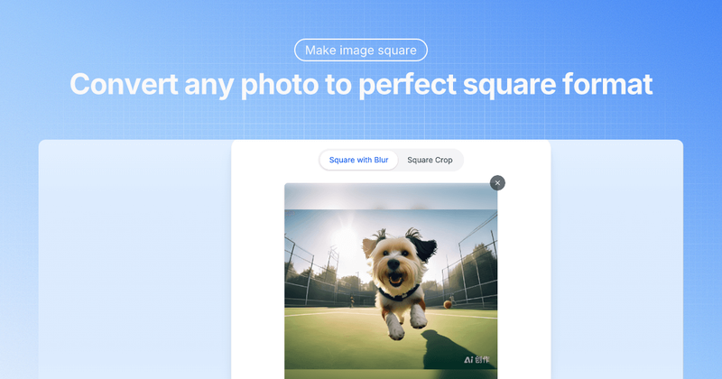 image of Square Image