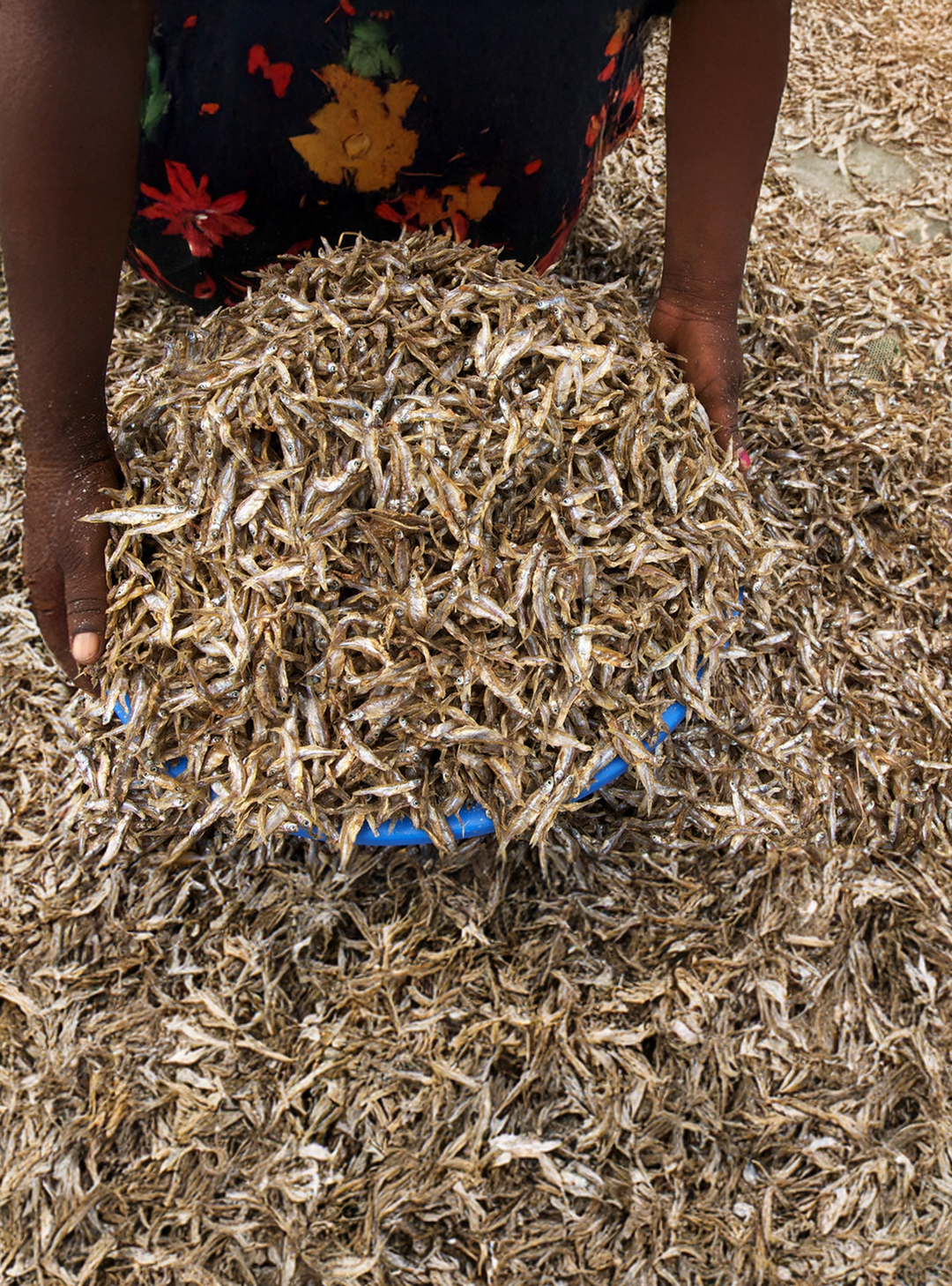 Barriers to Value Addition in the Omena Fisheries Value Chain in Kenya
