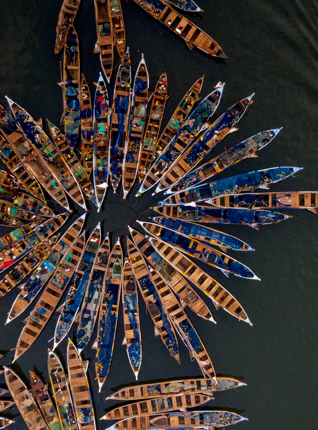 The State of World Fisheries and Aquaculture 2024
