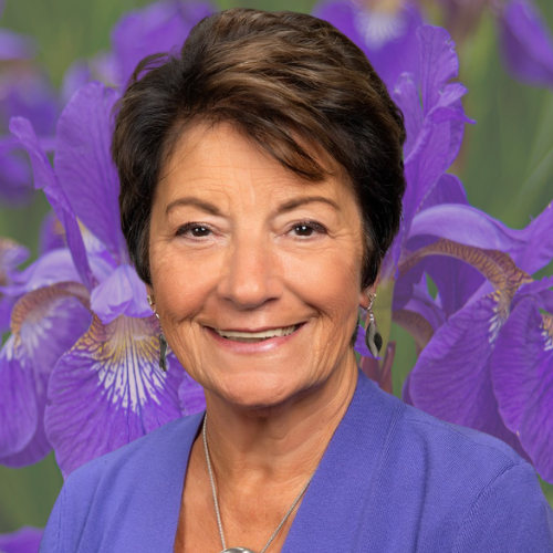 JUDY CHIPMAN image JUDY CHIPMAN image