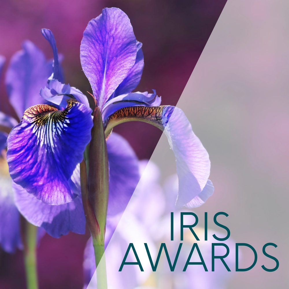 Iris Awards image Iris Awards image