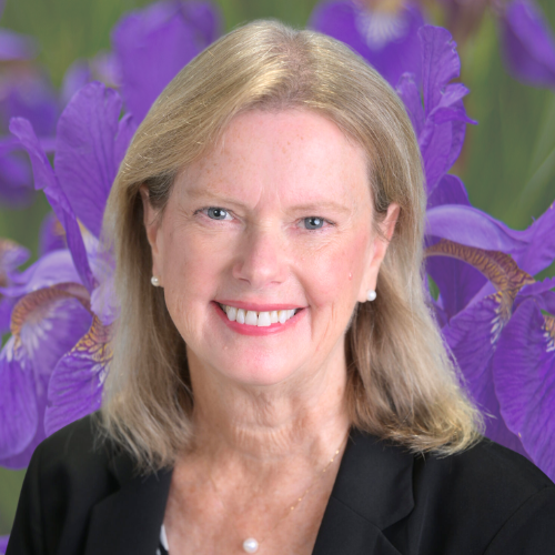 CAROL VAN NATTA image CAROL VAN NATTA image