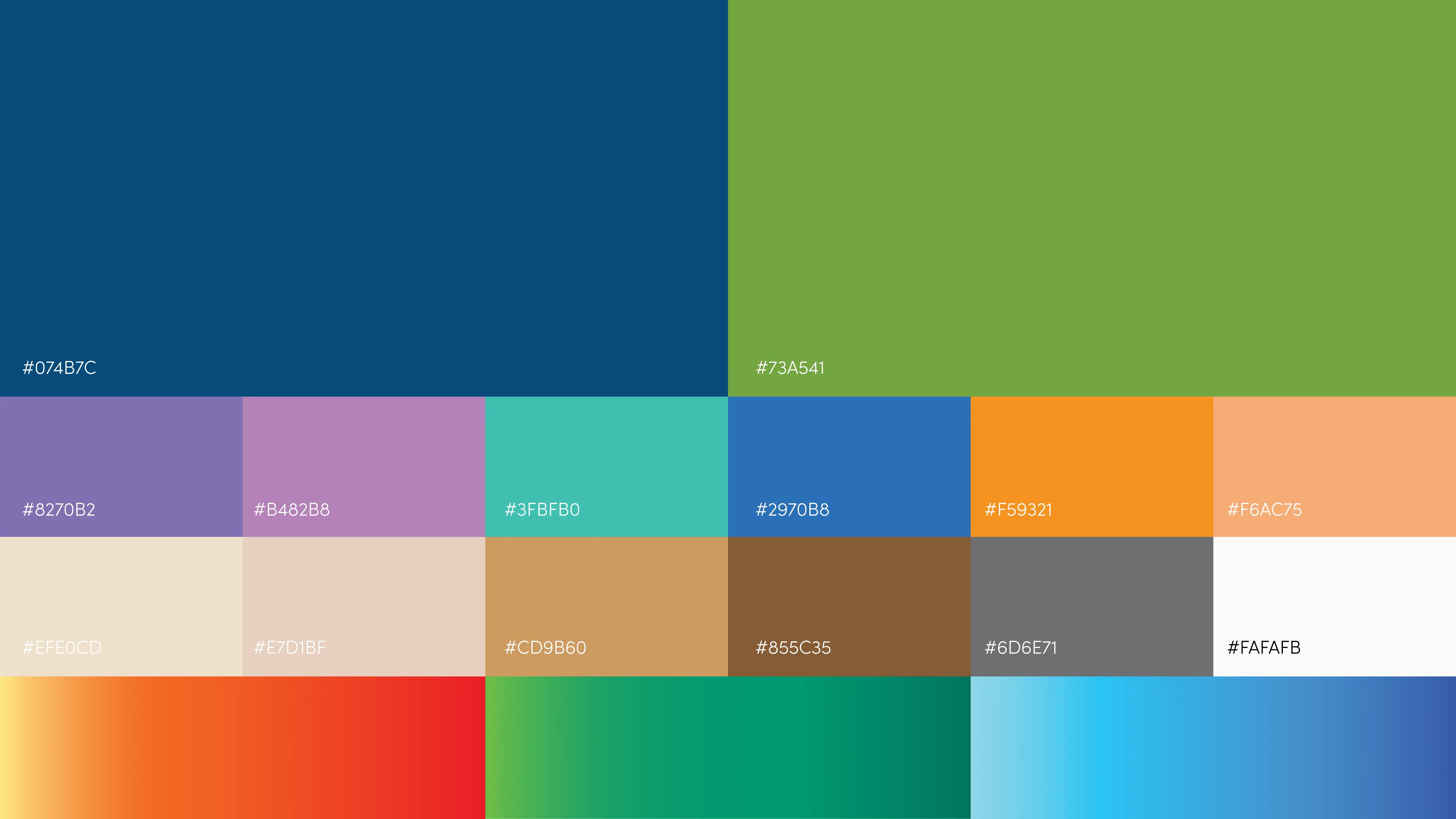 Benafica Brand Identity Case Study – Color Palette