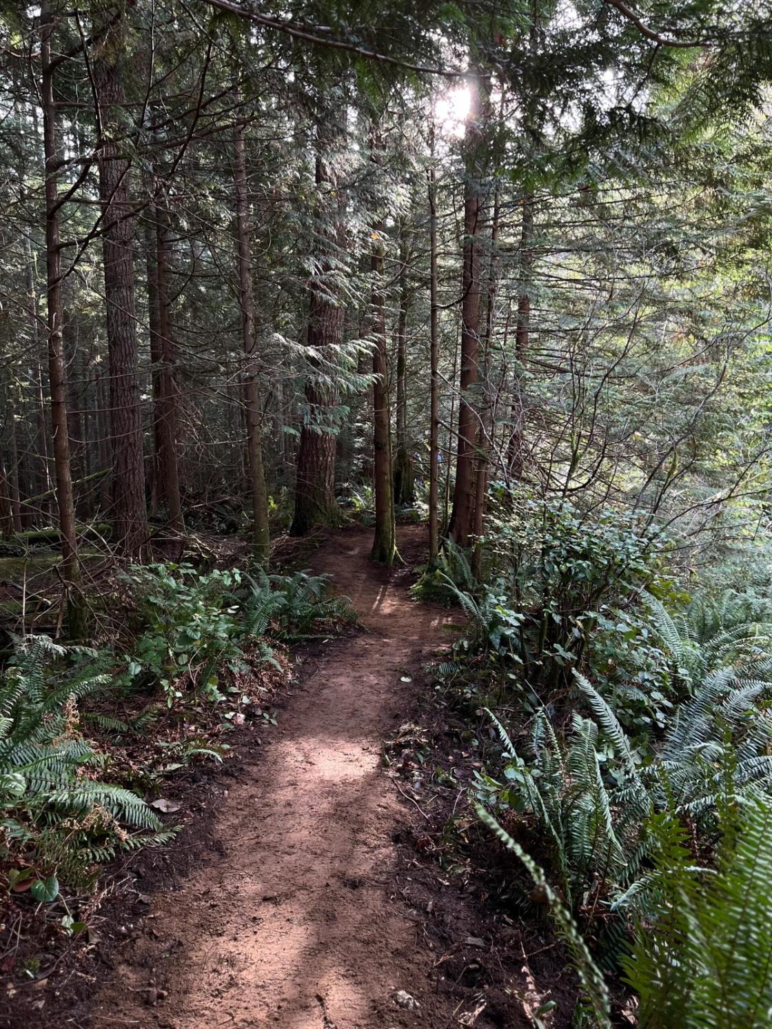 Trail Building: Pioneering Sustainable Trails