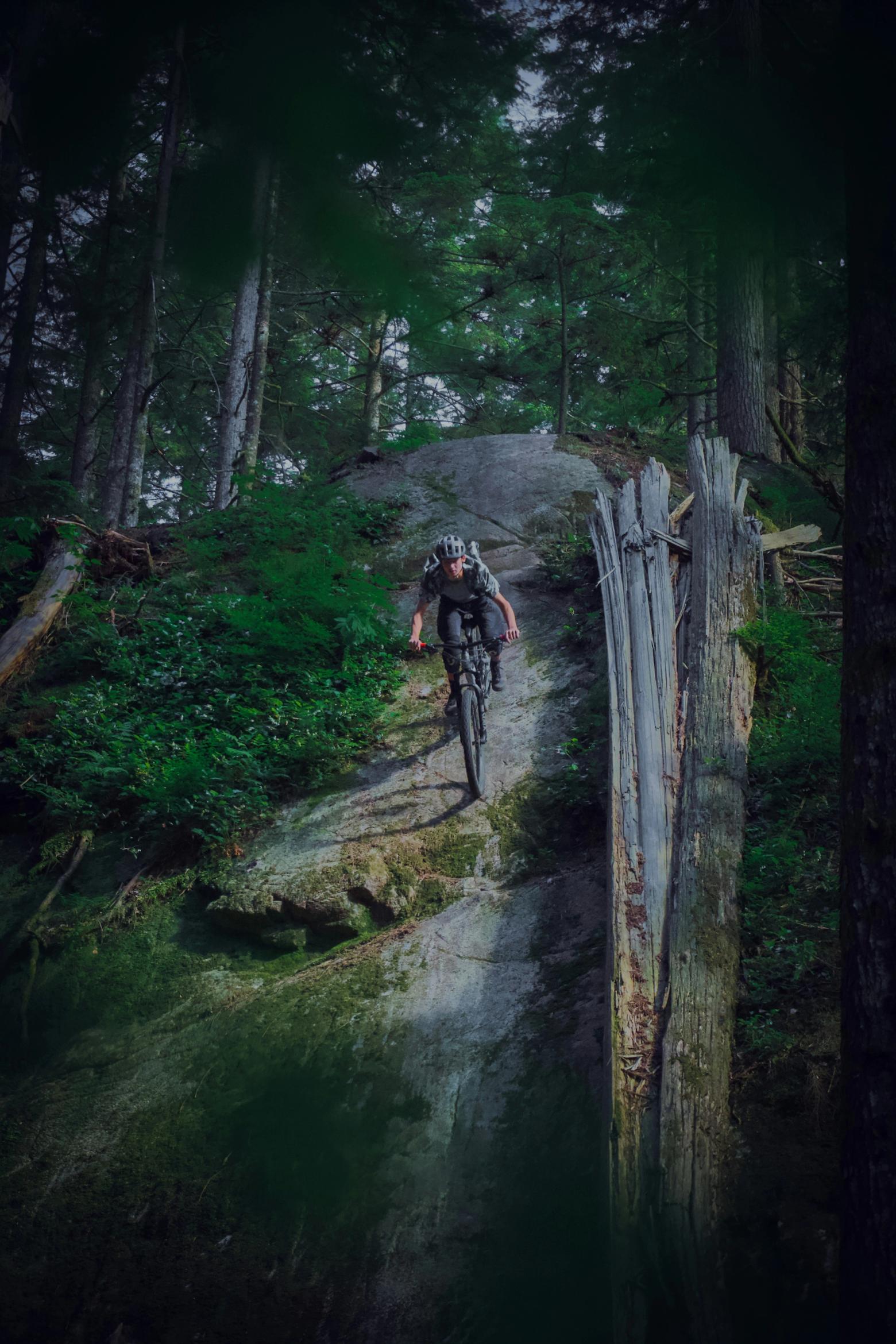 Team of licensed experts and passionate cyclists.