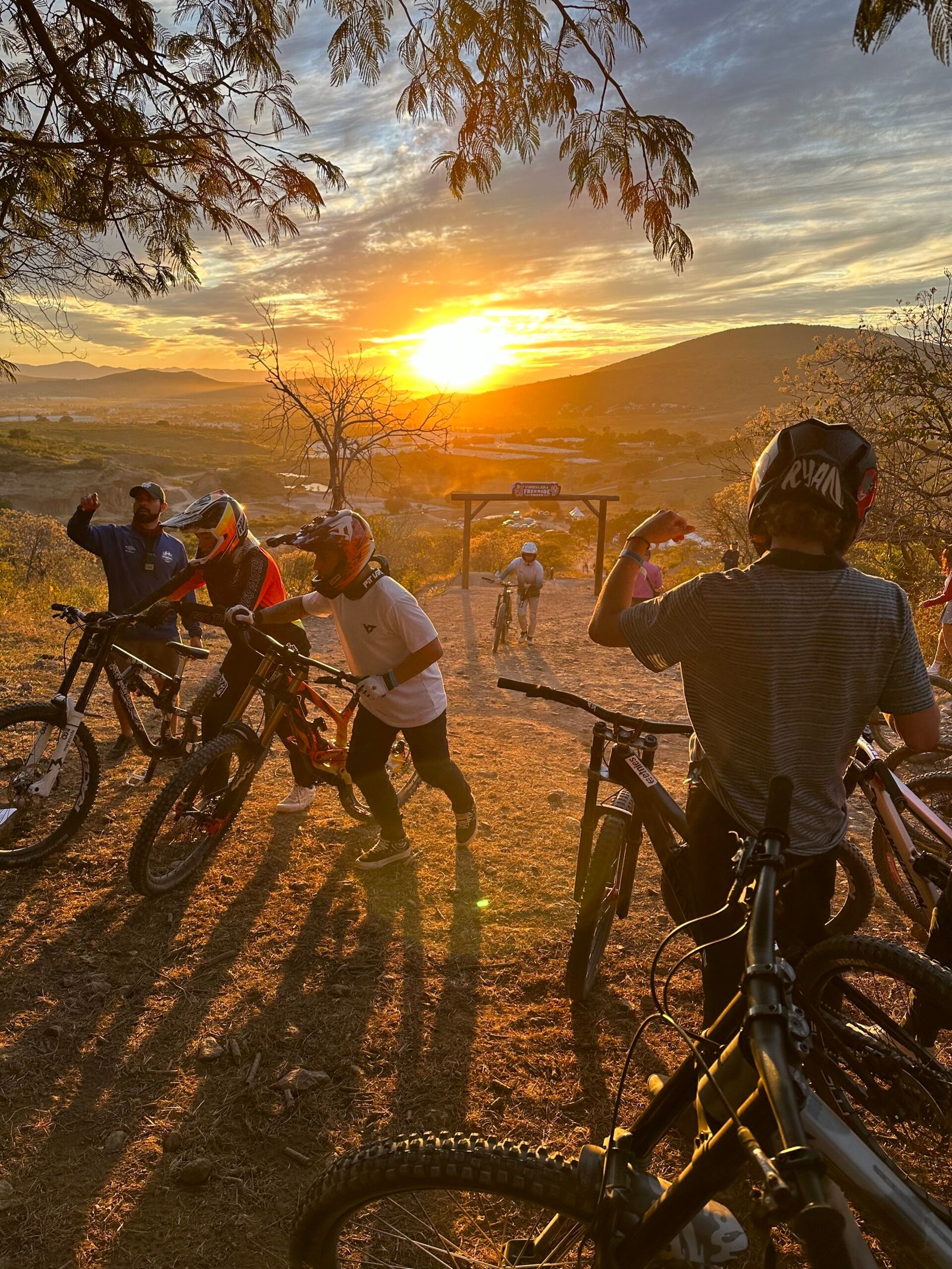 Six cyclists with their bikes gathered at a scenic viewpoint overlooking a mountain valley at sunset, with dramatic golden light and drooping tree branches framing the scene.