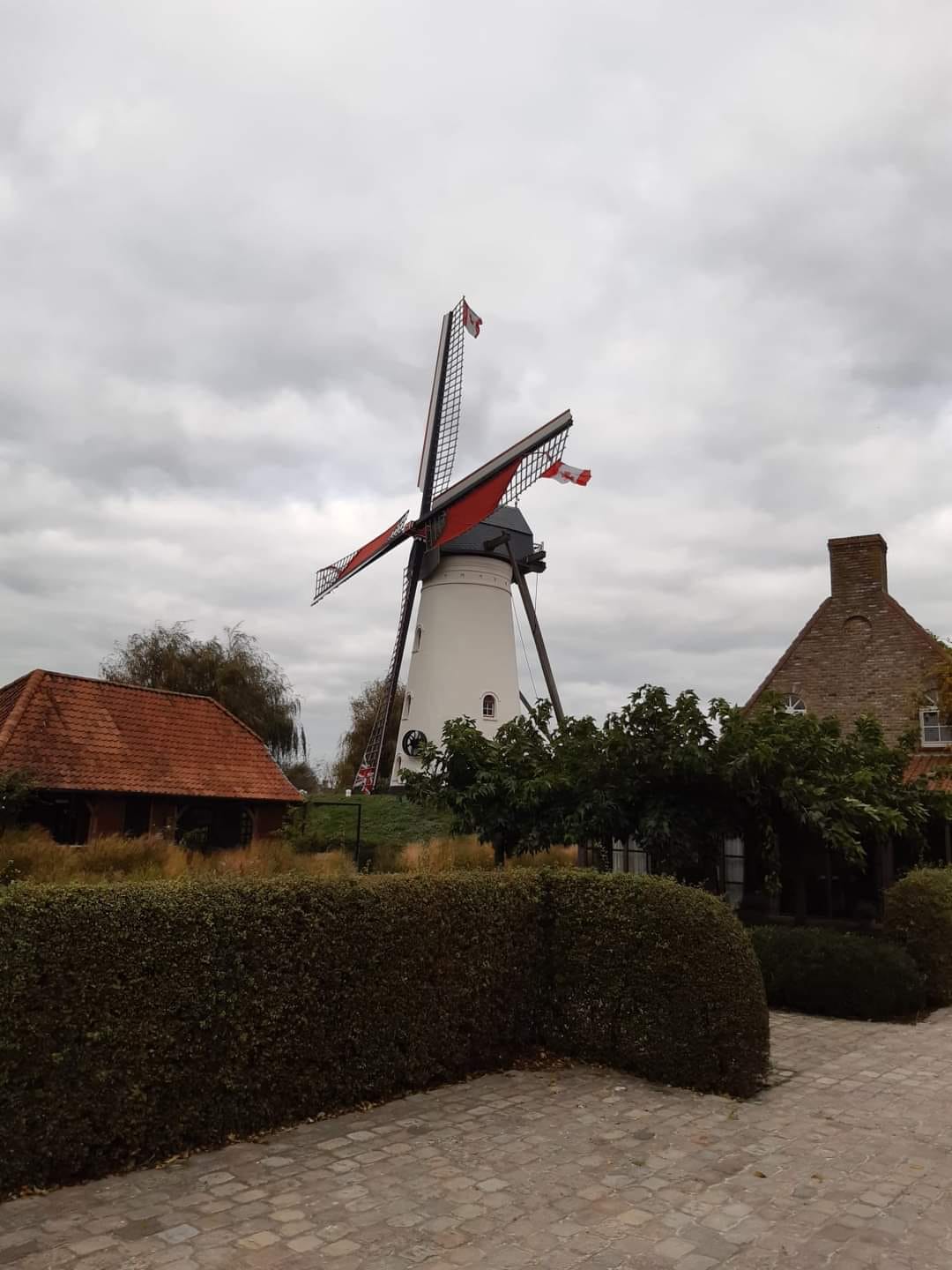 Molen