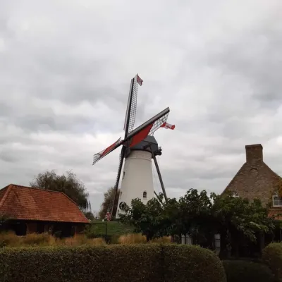 Molen
