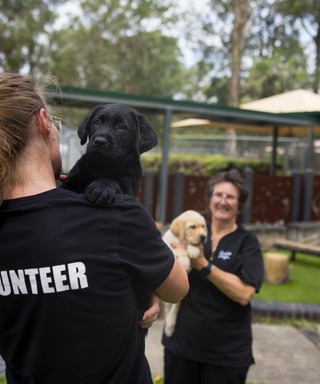 A volunteer holding a black Labrador puppy.