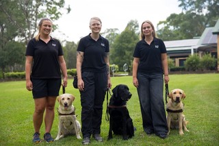Three Guide Dog Trainers standing each with a Labrador sitting next to them.