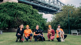 A group of people with their dogs.