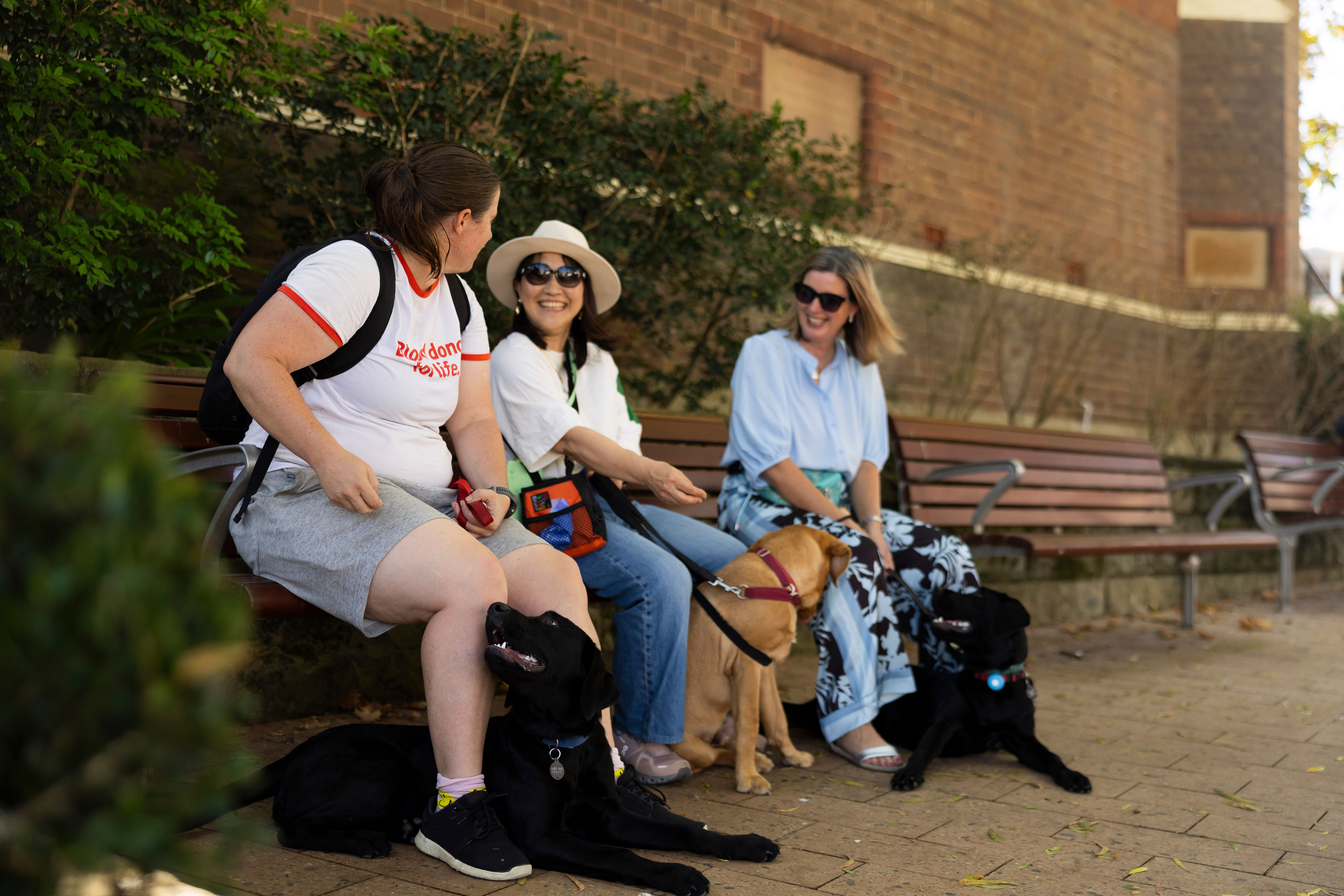 Three puppy raisers sitting with their dogs.