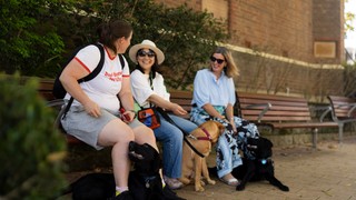Three puppy raisers sitting with their dogs.