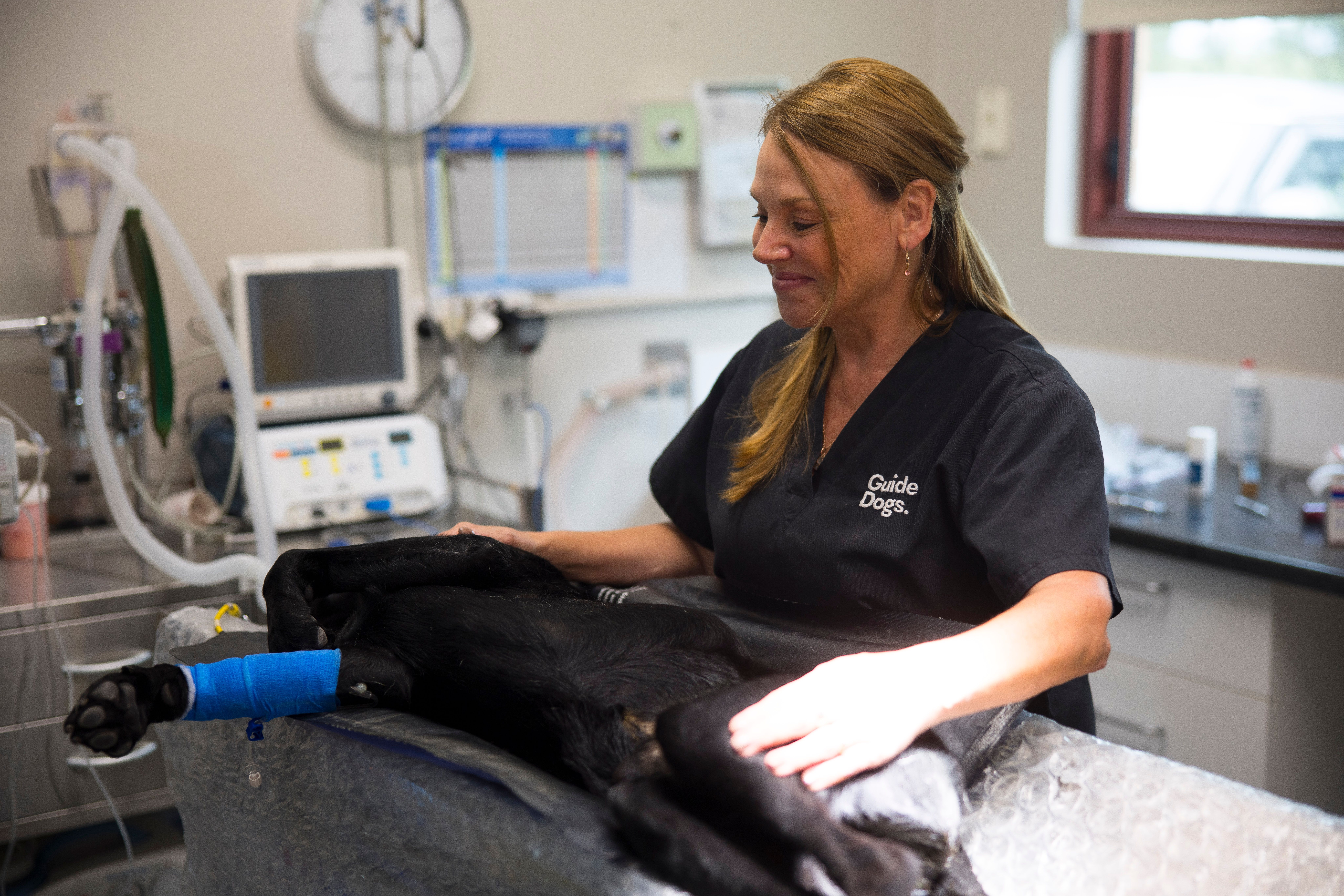 A vet technician working.
