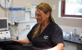 A vet technician working.