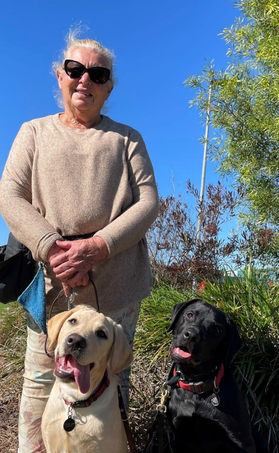 Margaret standing with two Labrador puppies with their heads tilted.