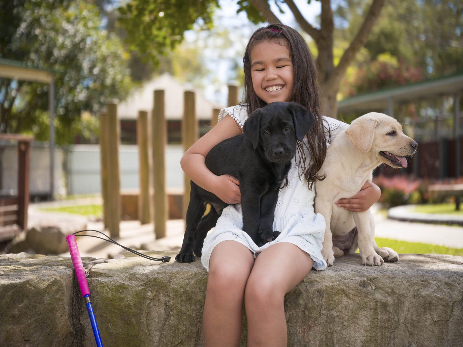 Sora with two puppies. 