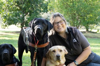 A staff member with yellow and black Labradors in harness.