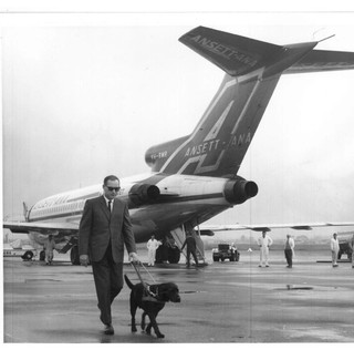 A black and white photo of a person walking across the tarmac with a black Labrador Guide Dog in front of an ANSETT plane.
