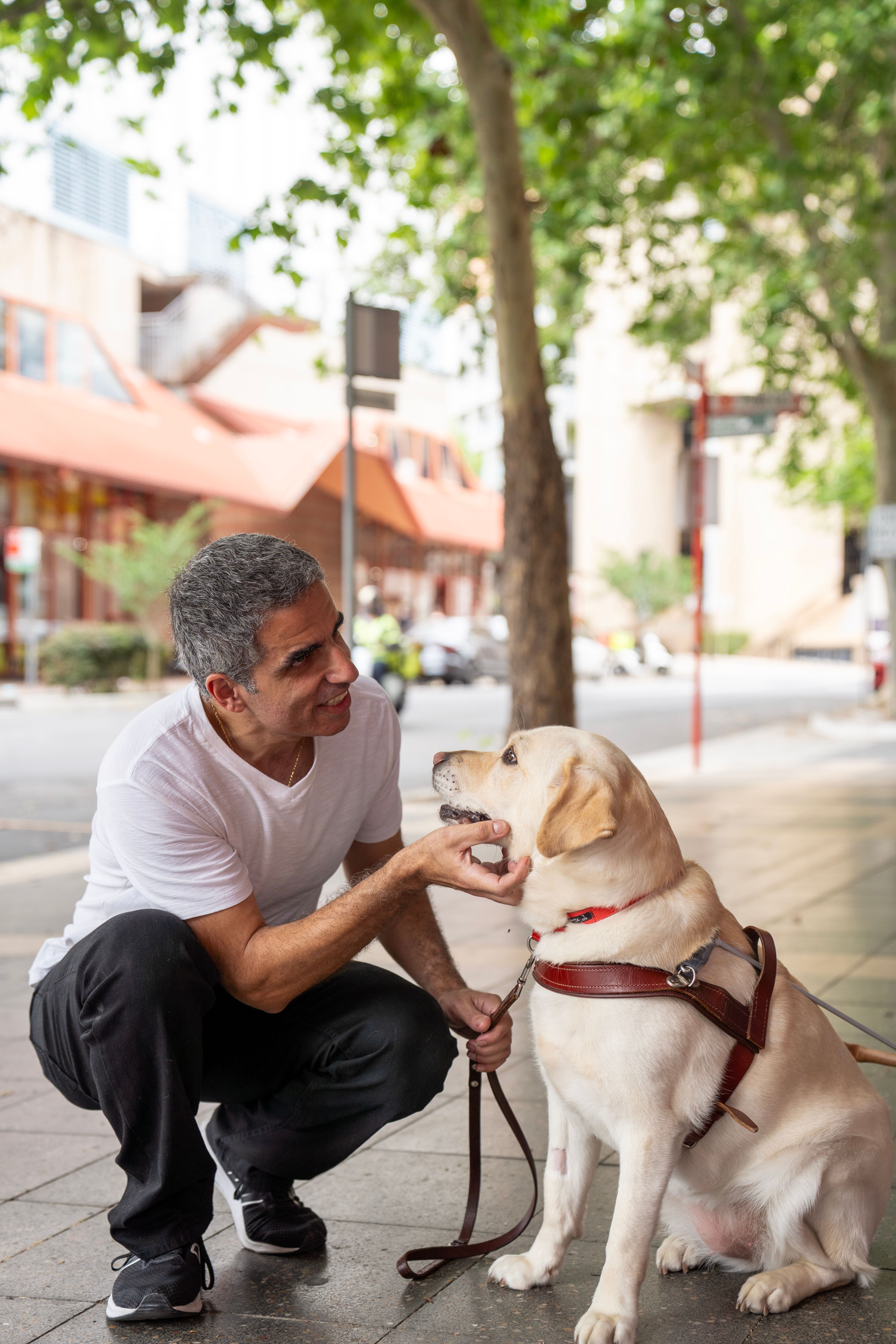 Andrew patting his Guide Dog Tatum