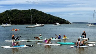 People on paddle boards practicing yoga.