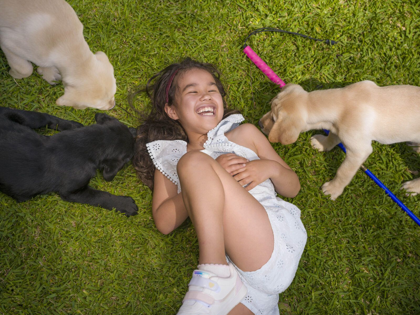 Sora playing with puppies. 