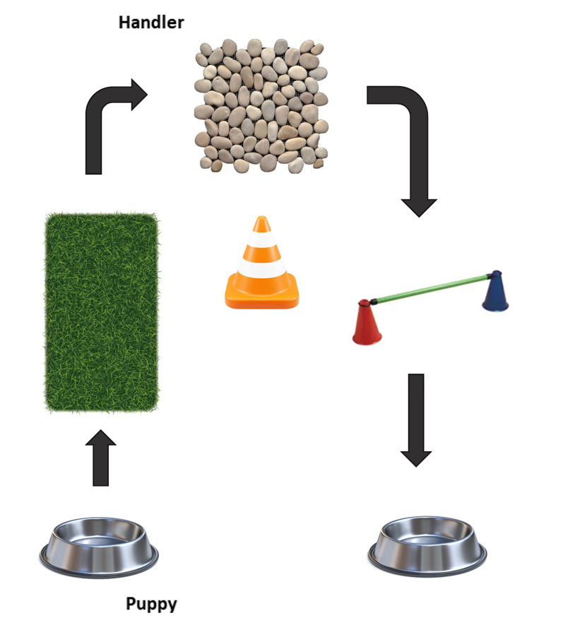 A diagram example of adding more obstacles for the pup to build skills. 