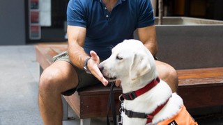 A Puppy Raiser demonstrating touch.