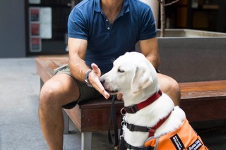 A Puppy Raiser demonstrating touch.