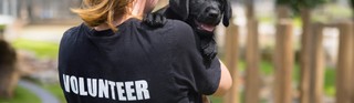 Volunteer holding a Puppy