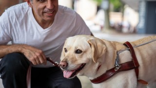 A person crouching down next to their yellow Labrador Guide Dog in harness.