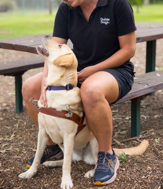 A Guide Dog Trainer sitting with a yellow Labrador in harness.