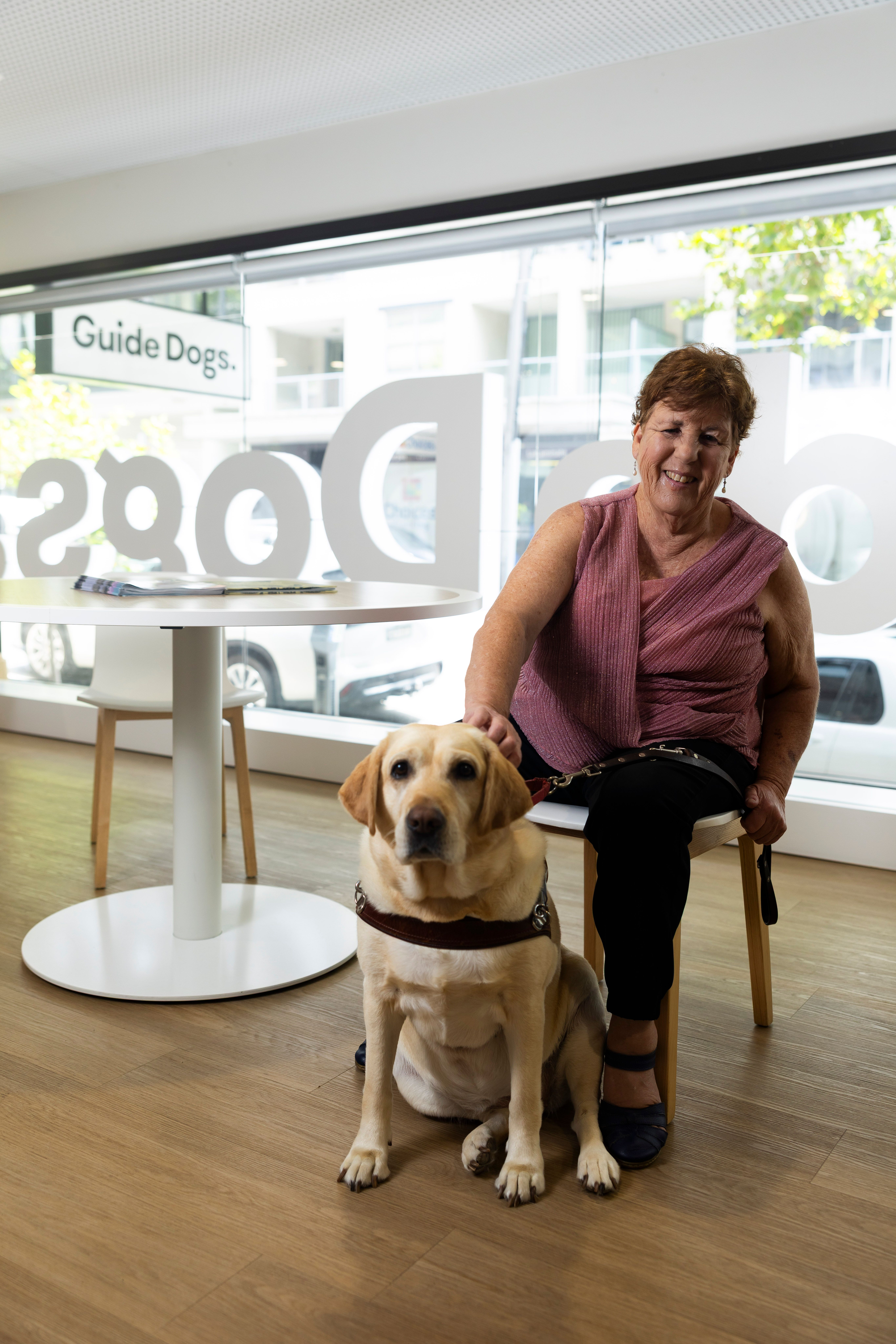 A Guide Dog Handler with their yellow Guide Dog. 