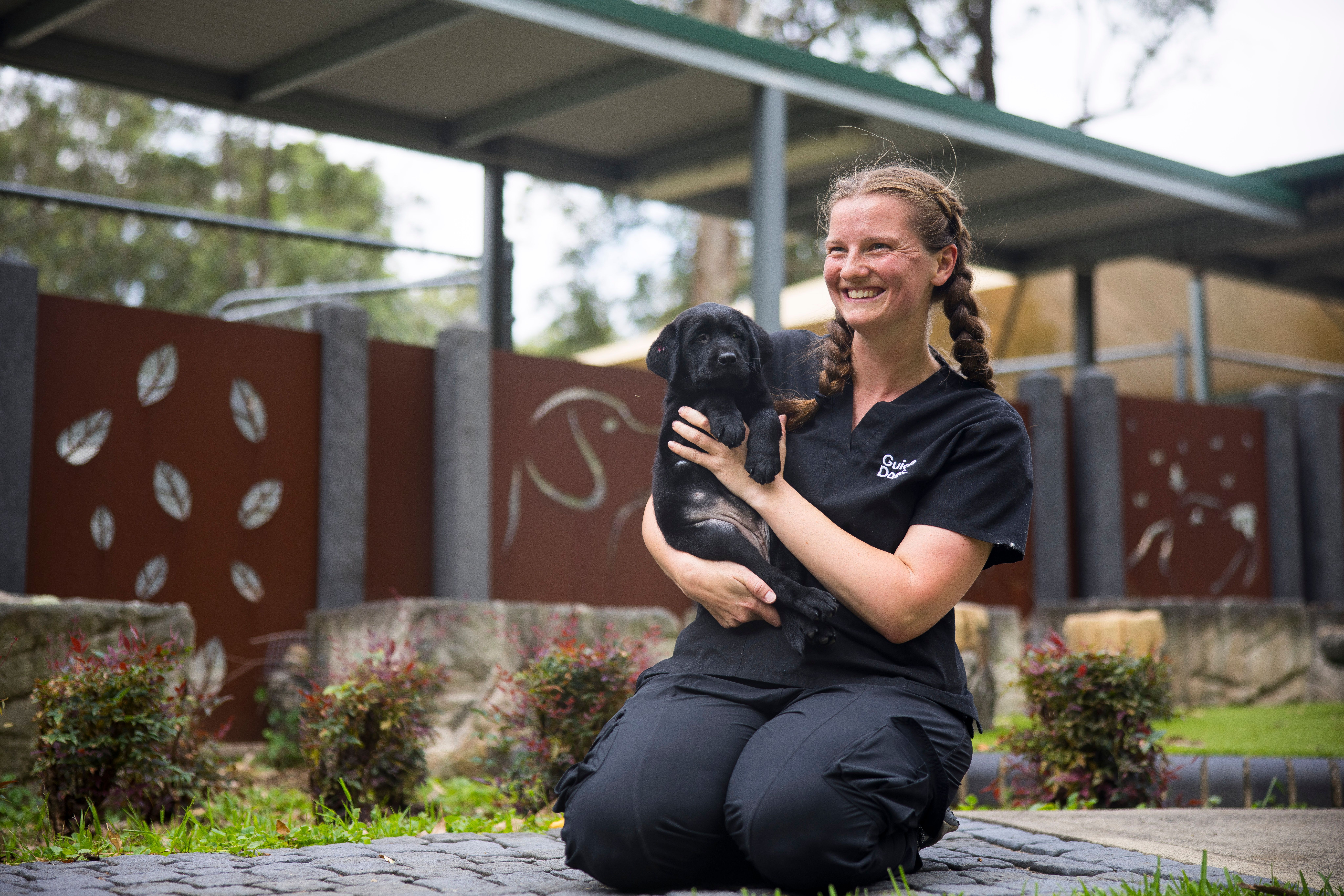 Guide Dogs staff member holding a black Labrador puppy.