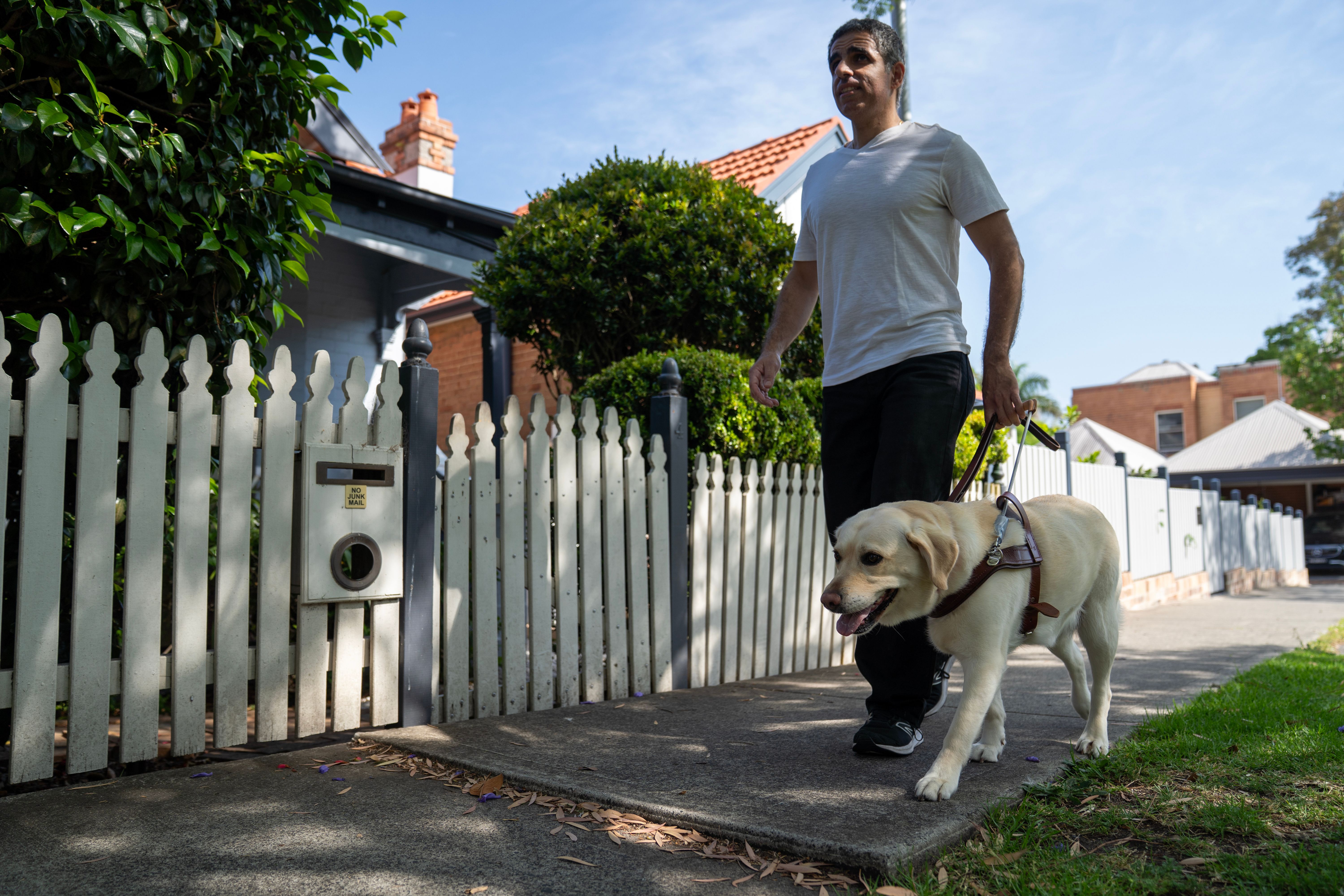 A Client walking with their yellow Guide Dog.
