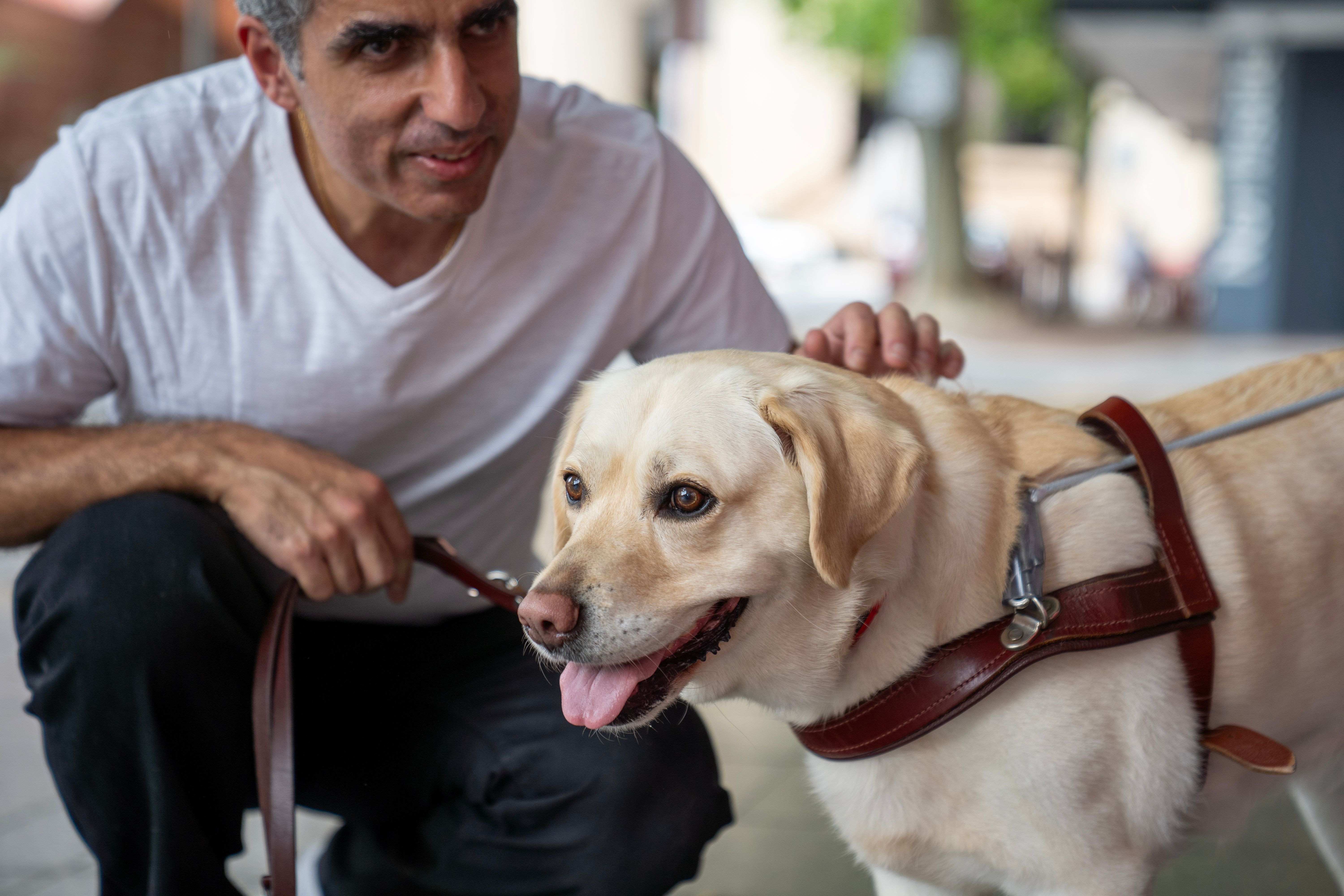 A Guide Dog with their Handler.