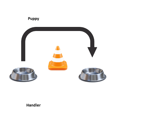 A diagram example of setting up two bowls with a traffic cone in between.