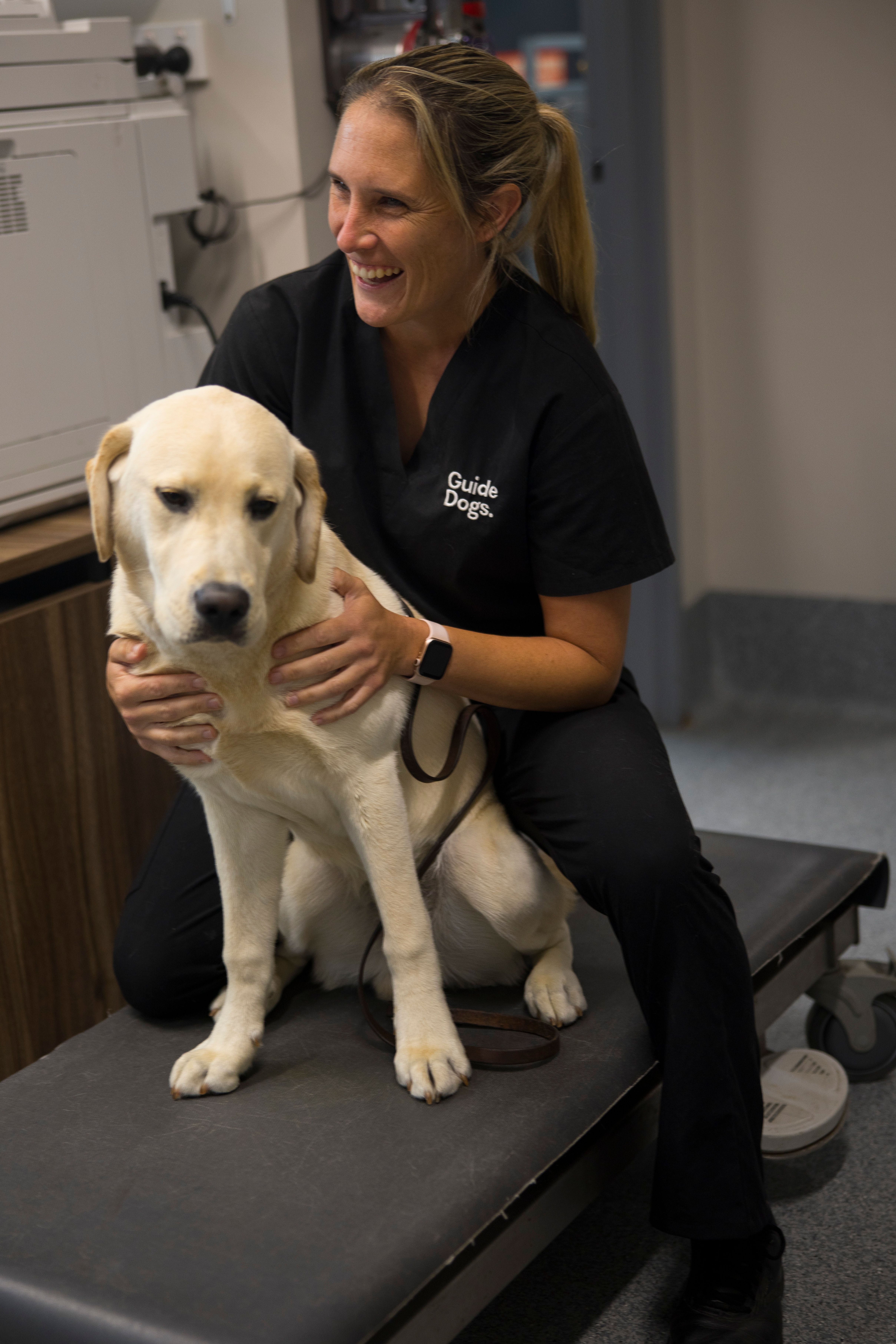 A Vet staff with a yellow Labrador dog. 