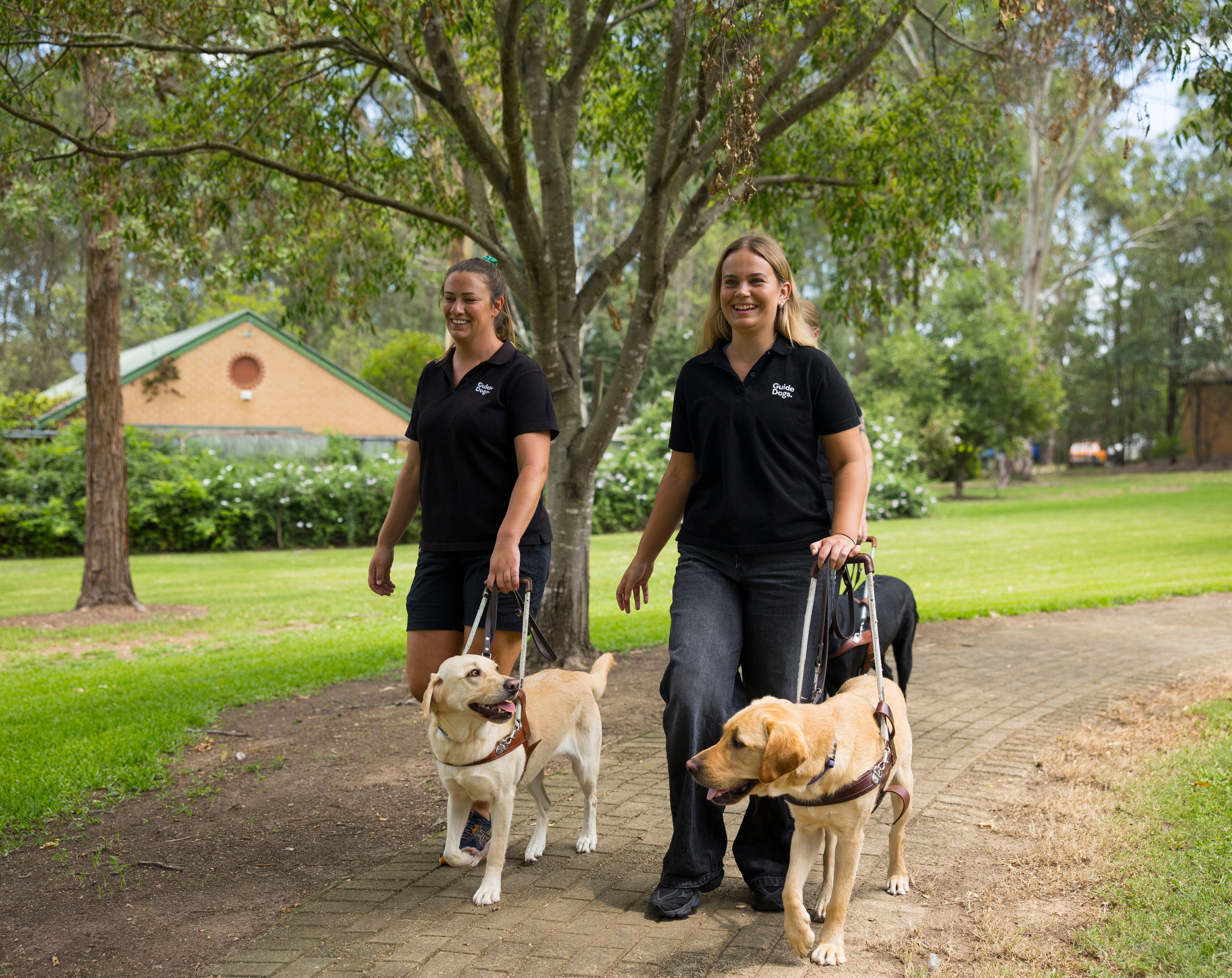 Trainers walking with their Guide Dogs. 