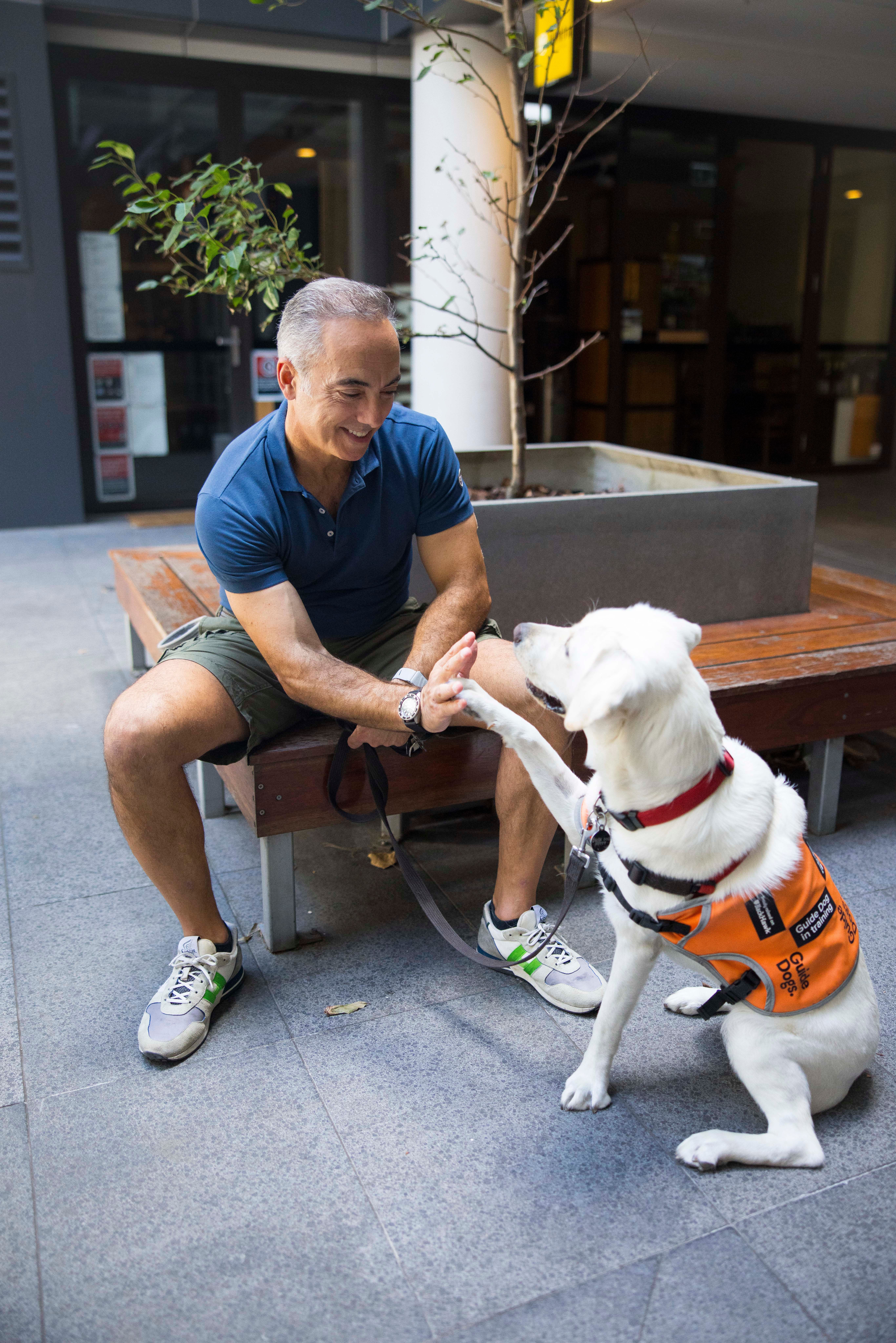 A puppy Raiser walking with their dog. 