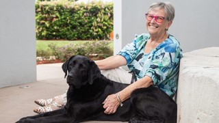 A person sitting with a black Labrador.