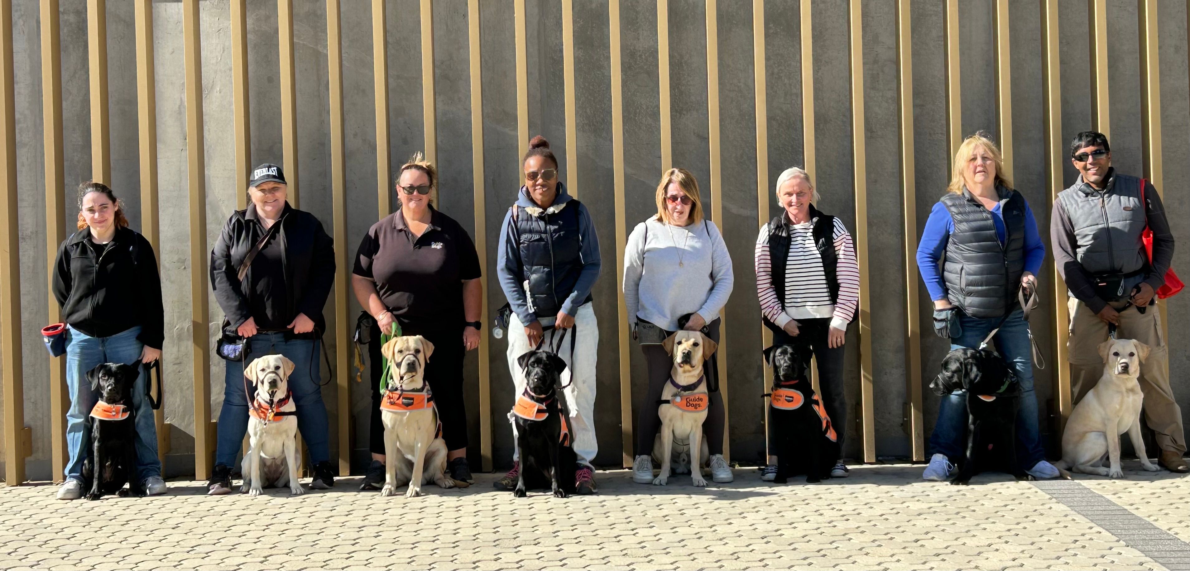 Eight Puppy Raisers stand in a line against a wall outside, each with a Labrador in harness sitting below them. 