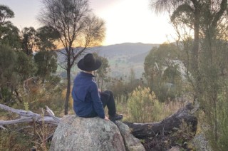 Bodie sitting on a rock facing away from the camera.