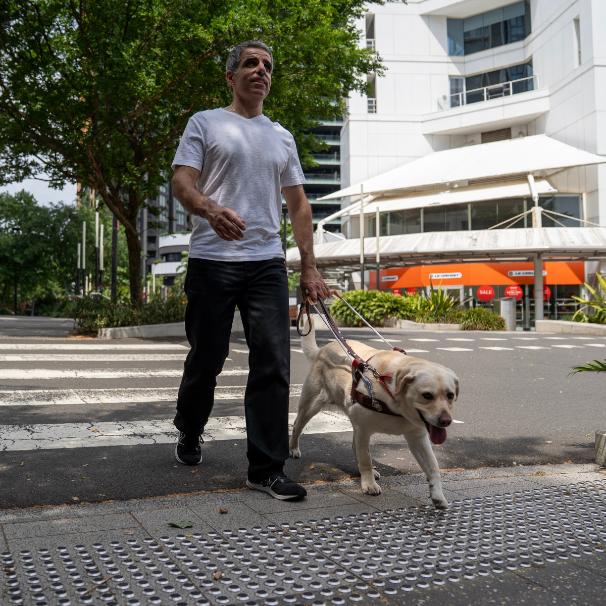 A Handler walking with his Guide Dog on a crossing.