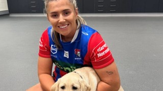 Newcastle Knights player holding a yellow Labrador puppy.