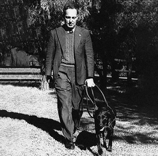Arnold cook walking with Guide Dog Dreena.