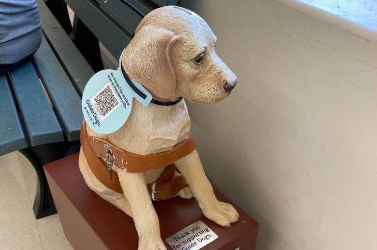 A donation dog with a QR Code.
