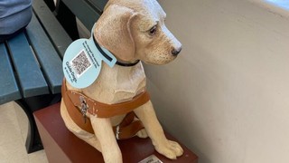 A donation dog with a QR Code.