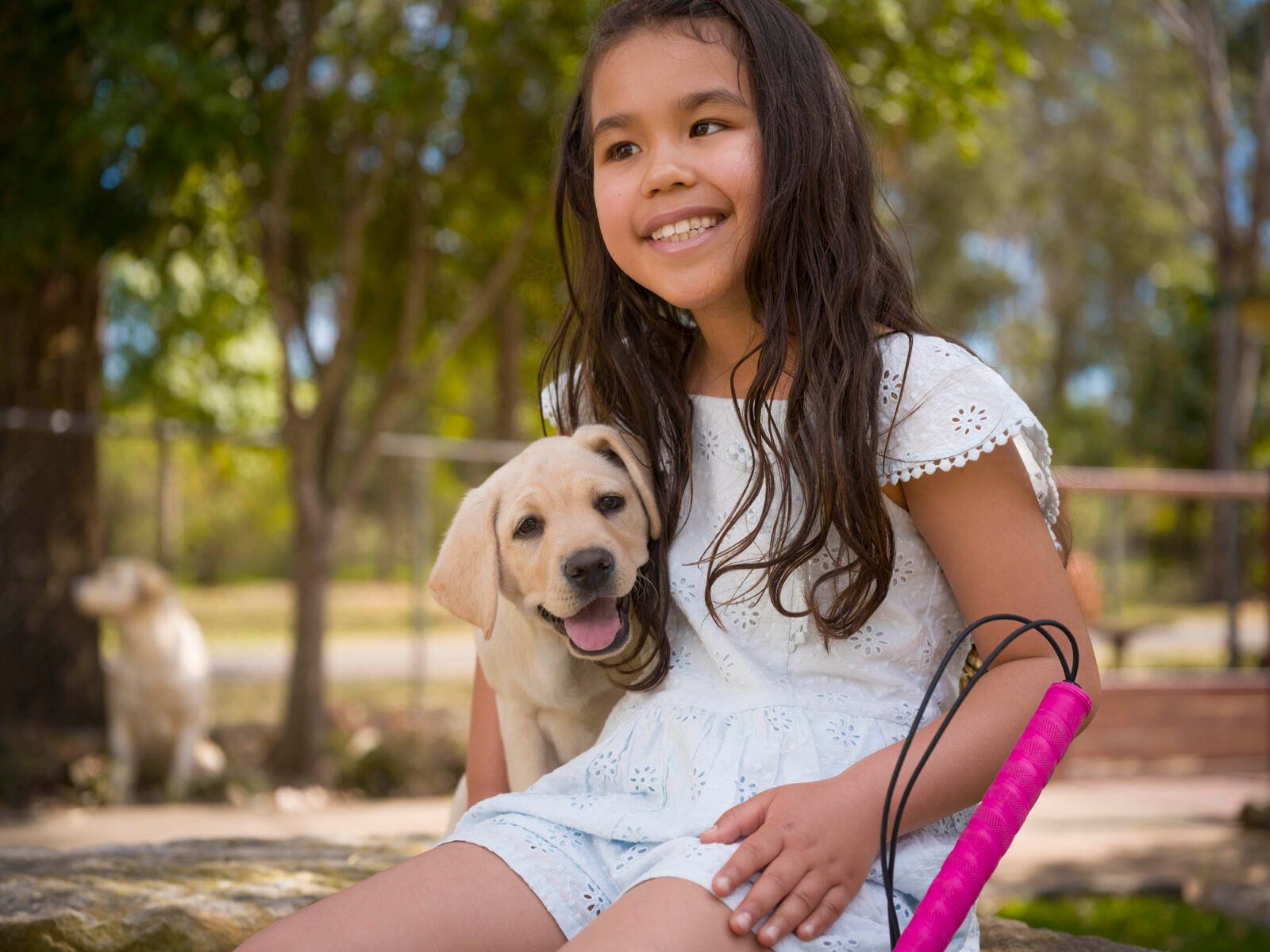 Sora sitting with a yellow Labrador puppy. 