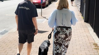 A Puppy Raiser walking with their PDA.